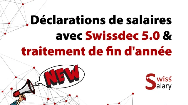 Thumbnail Déclarations de salaires